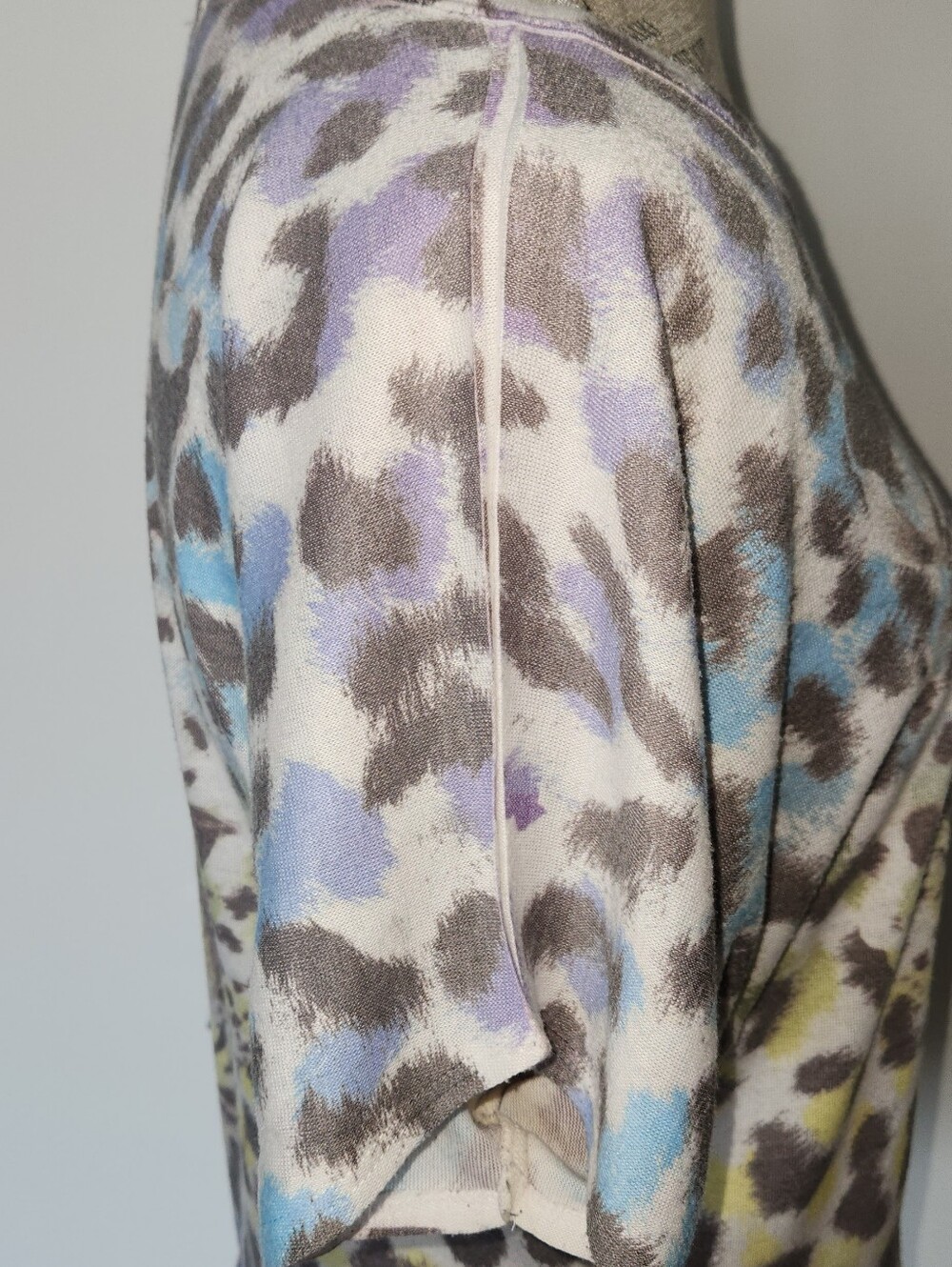 Leopard - Picture 9 of 11
